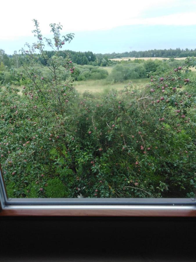 Viesu Maja Manturi Hotell Peipini Exteriör bild